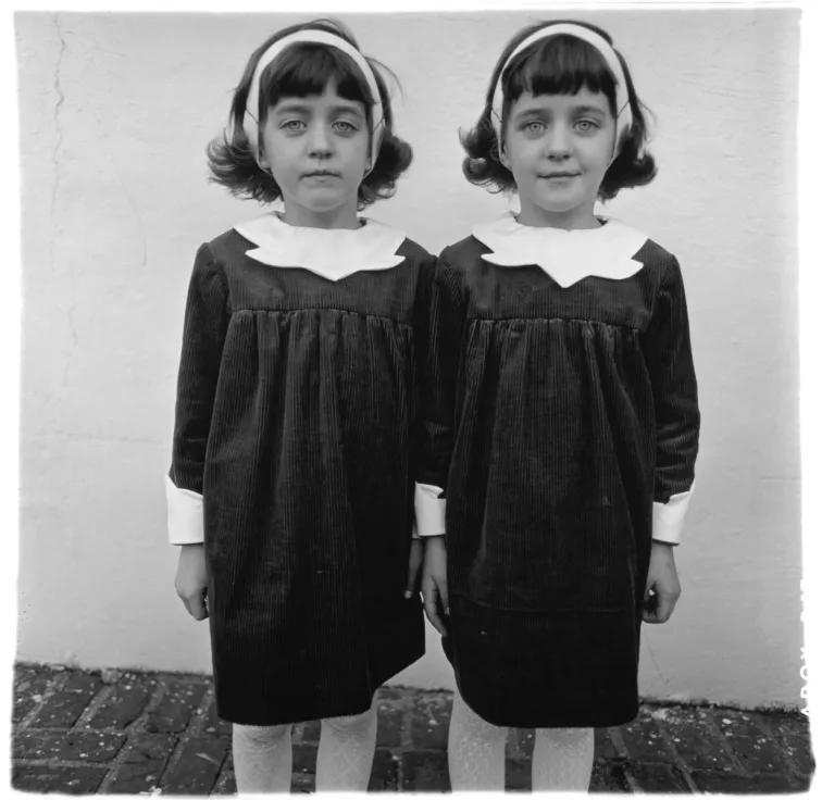 Diane Arbus, Identical twins 
